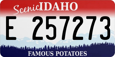 ID license plate E257273