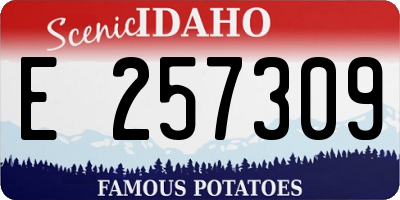 ID license plate E257309