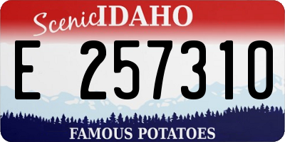 ID license plate E257310