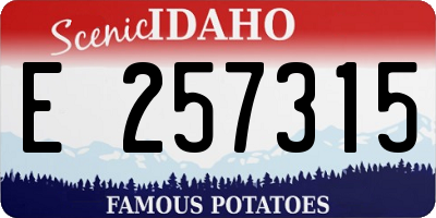 ID license plate E257315