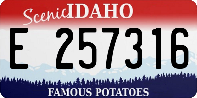 ID license plate E257316