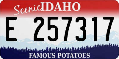 ID license plate E257317