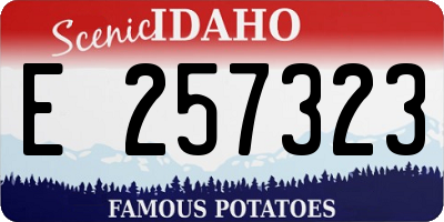 ID license plate E257323