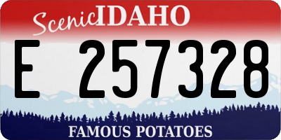 ID license plate E257328