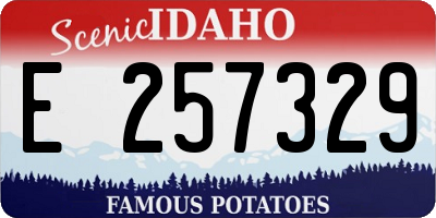 ID license plate E257329