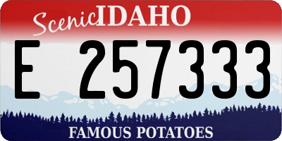 ID license plate E257333