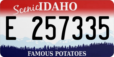 ID license plate E257335