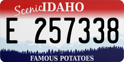 ID license plate E257338