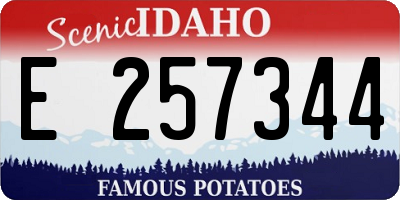 ID license plate E257344