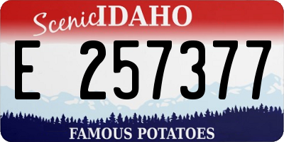 ID license plate E257377