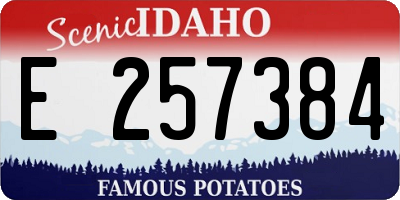 ID license plate E257384