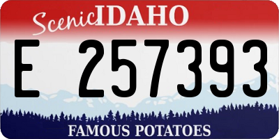 ID license plate E257393