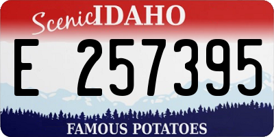 ID license plate E257395