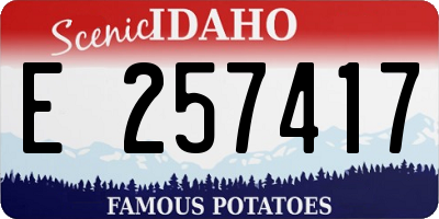 ID license plate E257417