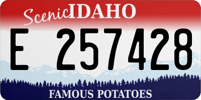 ID license plate E257428