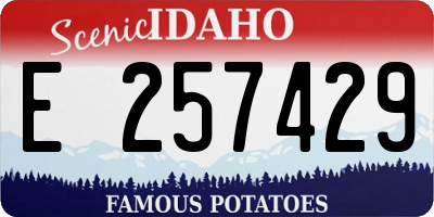 ID license plate E257429