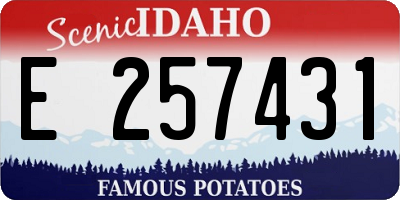 ID license plate E257431