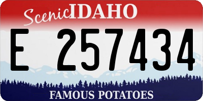 ID license plate E257434