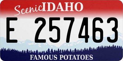 ID license plate E257463