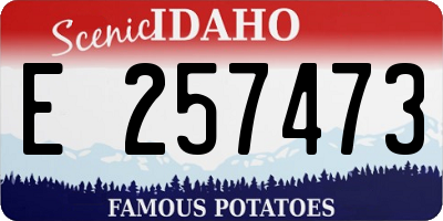 ID license plate E257473