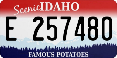 ID license plate E257480