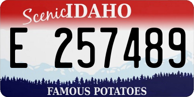ID license plate E257489