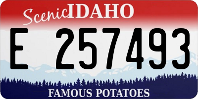 ID license plate E257493