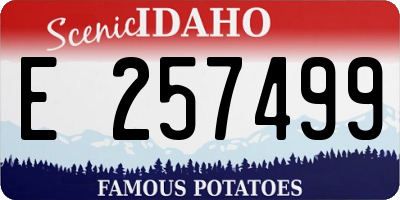 ID license plate E257499