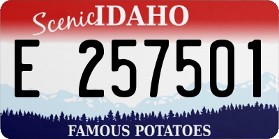 ID license plate E257501