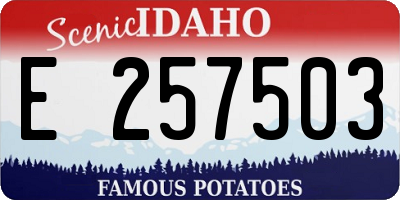 ID license plate E257503