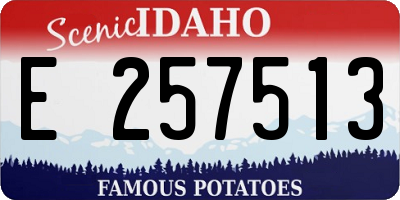 ID license plate E257513