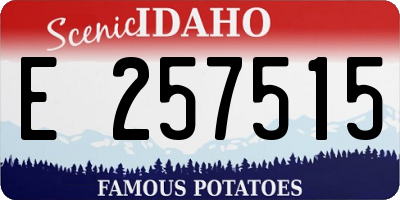 ID license plate E257515