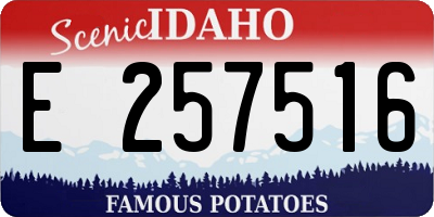 ID license plate E257516