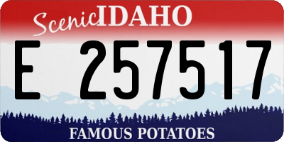 ID license plate E257517