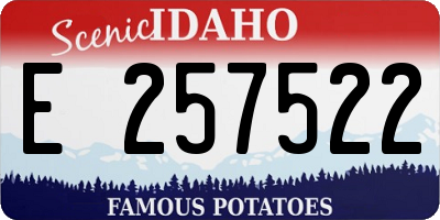 ID license plate E257522
