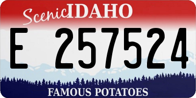 ID license plate E257524