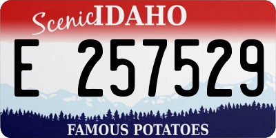 ID license plate E257529