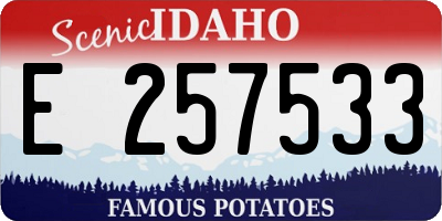 ID license plate E257533