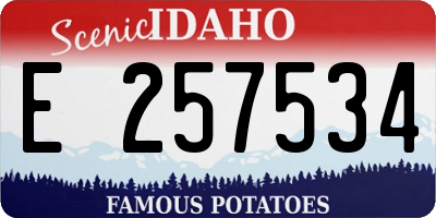 ID license plate E257534