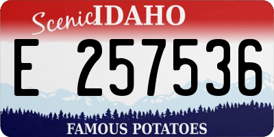 ID license plate E257536