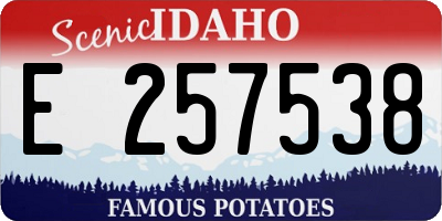 ID license plate E257538