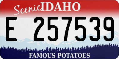 ID license plate E257539