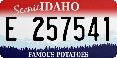 ID license plate E257541
