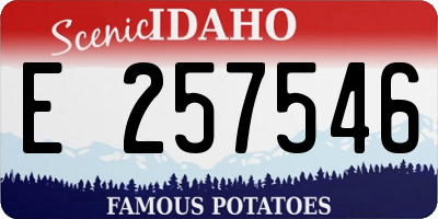 ID license plate E257546