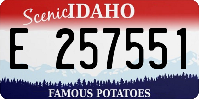 ID license plate E257551