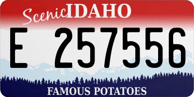 ID license plate E257556