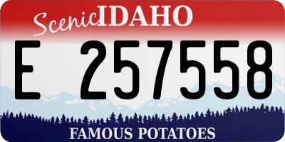 ID license plate E257558