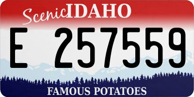 ID license plate E257559
