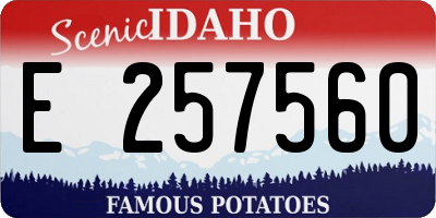 ID license plate E257560