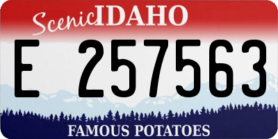 ID license plate E257563